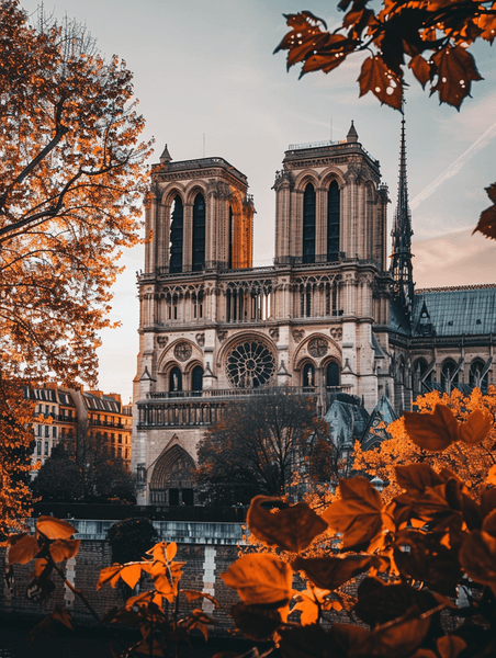 创意游客照片巴黎圣母院大教堂
