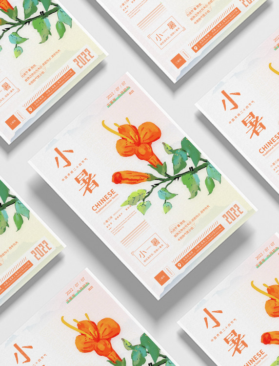 小暑二十四节气花卉简约杂志风