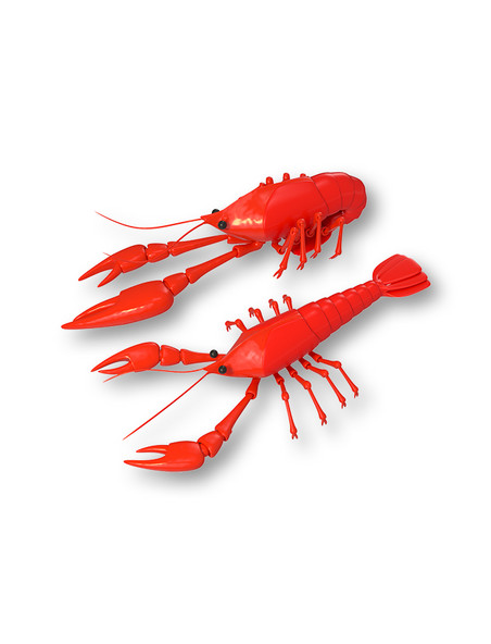 3D立体仿真红色小龙虾