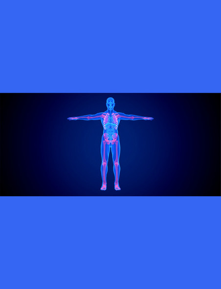 医疗健康透视疾病骨骼器官蓝色c4d人体医疗疾病全身骨骼