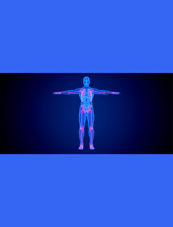 医疗健康透视疾病骨骼器官蓝色c4d人体医疗疾病全身骨骼