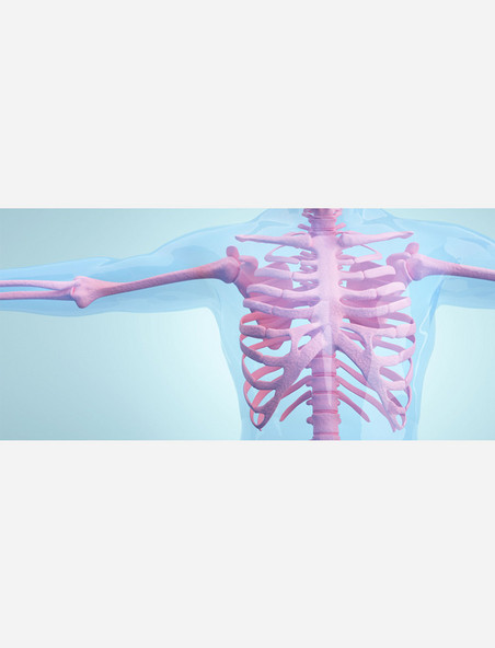 医疗健康透视疾病关节骨骼人体医疗结构背景