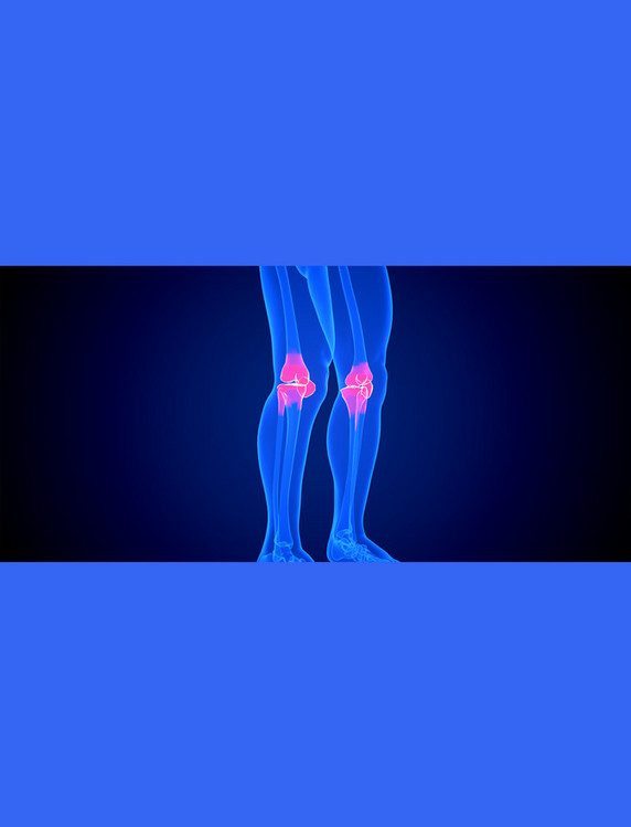 医疗健康透视疾病骨骼器官蓝色c4d人体医疗膝盖疾病