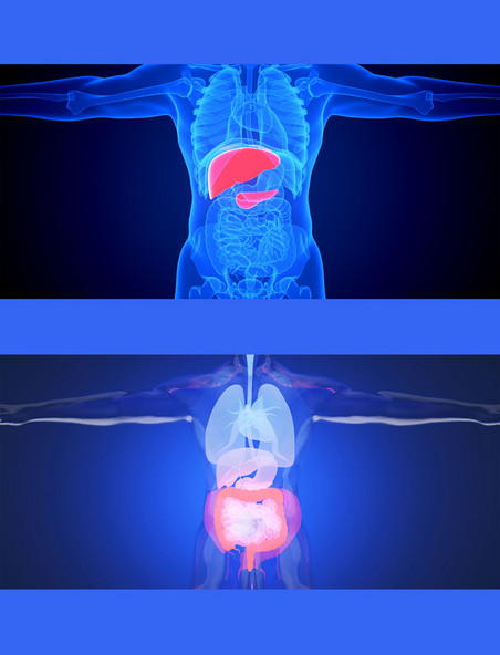 医疗健康透视疾病内脏器官蓝色人体医疗结构背景