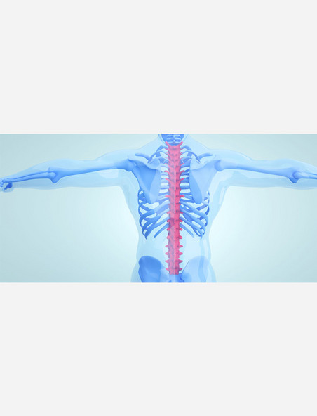 C4D人体腰椎骨骼医疗健康透视疾病