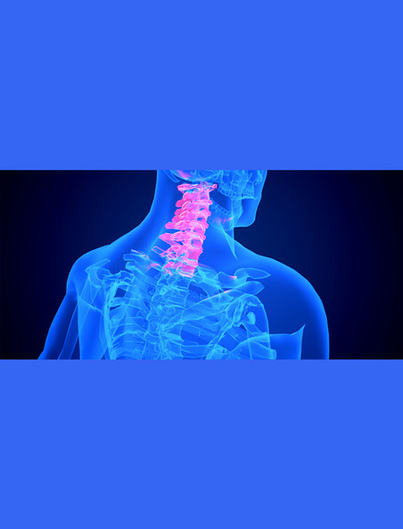 医疗健康透视疾病骨骼器官蓝色c4d人体医疗颈椎脖子疾病