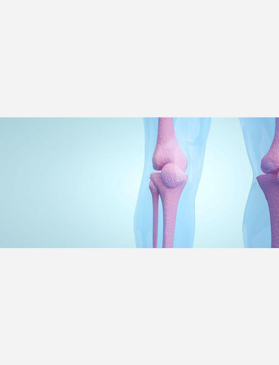 医疗健康透视疾病C4D人体膝盖骨骼