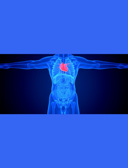 医疗健康透视疾病内脏器官蓝色c4d人体医疗心脏疾病