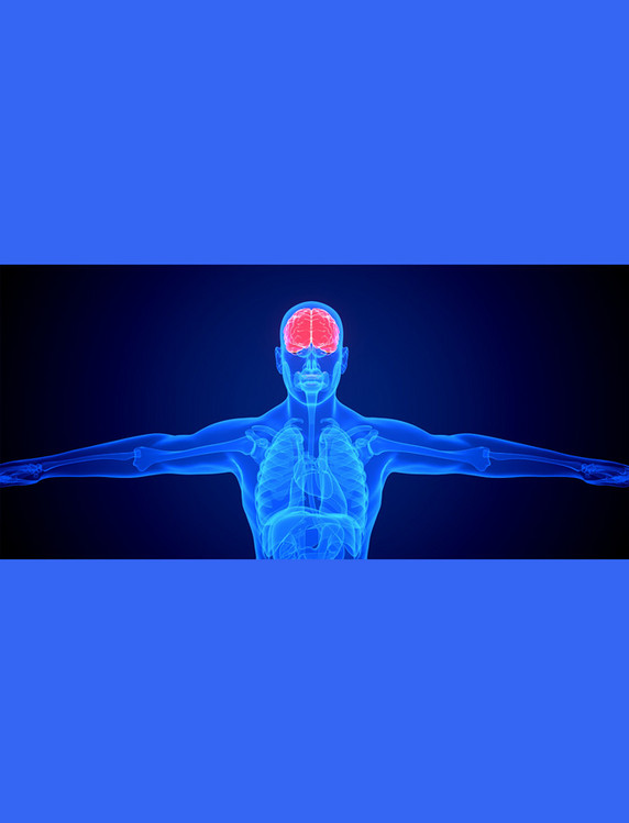 医疗健康透视疾病内脏器官蓝色c4d人体医疗大脑疾病