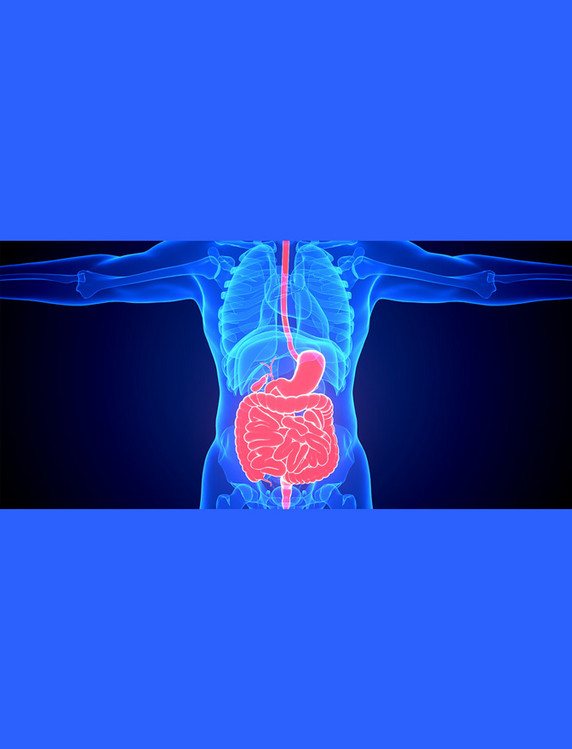 医疗健康透视疾病内脏器官蓝色c4d人体医疗肠胃疾病