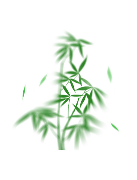 弥散竹子植物树叶