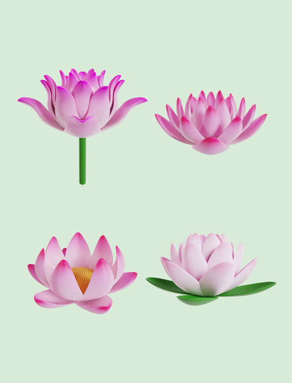 3D立体粉色荷花夏天荷塘植物花朵花