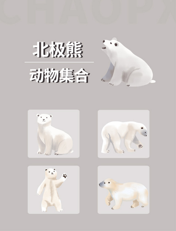 白色动物北极熊元素