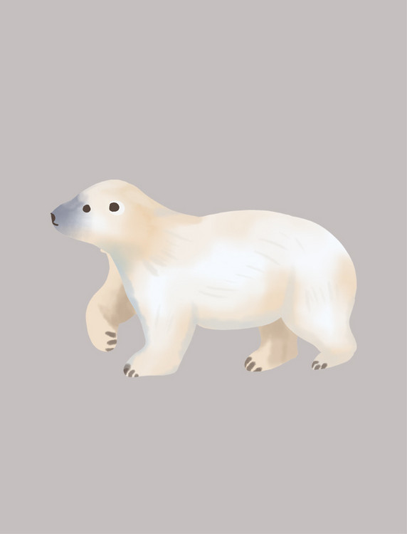 白色动物北极熊行走
