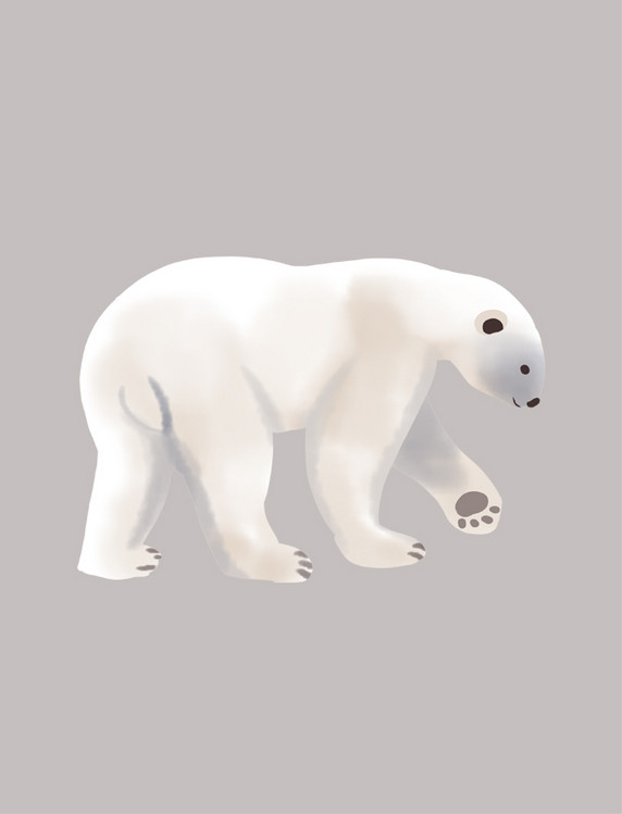低头行走北极熊