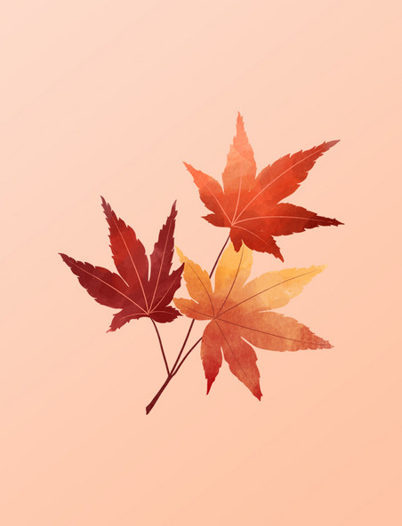 秋天秋季水彩枫叶三片元素