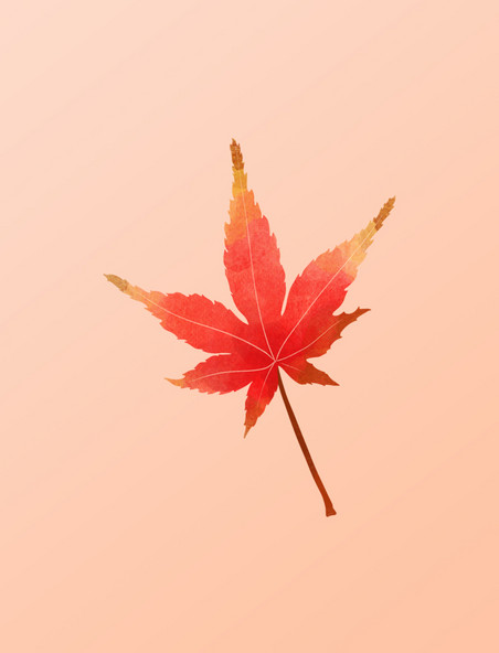 秋天秋季水彩枫叶火红枫叶元素