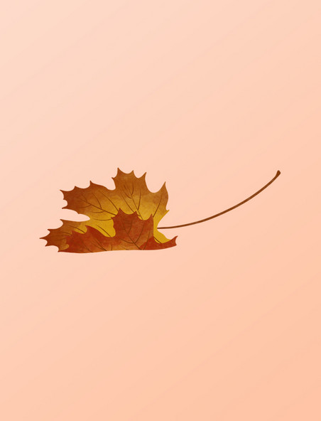 秋天秋季水彩枫叶折叠翻转元素