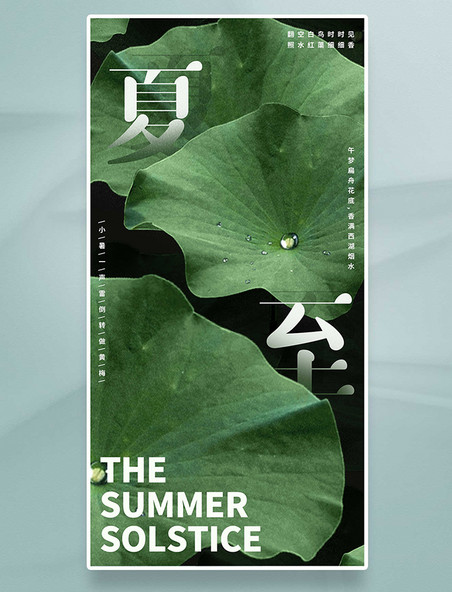 夏至节气荷叶摄影简约平面海报设计