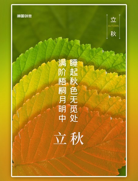 立秋传统二十四节气树叶摄影图绿色简约海报