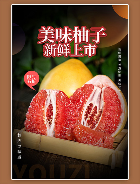 秋季美食水果柚子简约黑色海报
