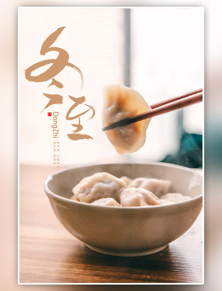 传统节日冬至节气饺子暖色调传统海报