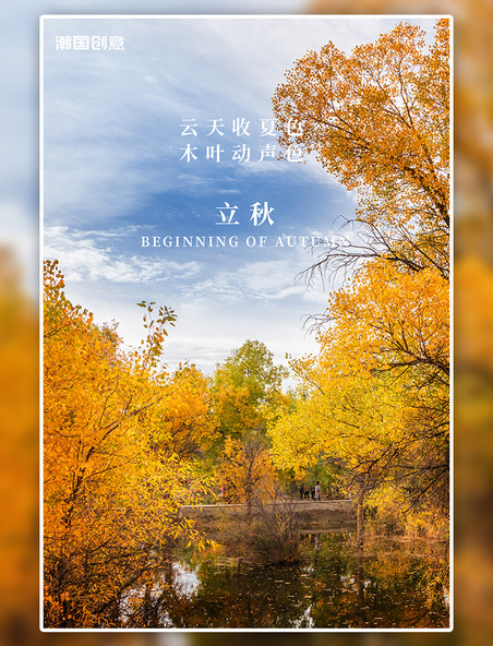 立秋节气树林落叶秋天黄色摄影图海报