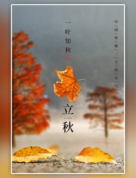 二十四节气立秋节气枫叶黄色简洁海报