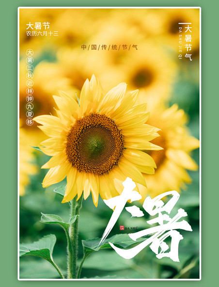 二十四节气大暑向日葵黄绿摄影图海报