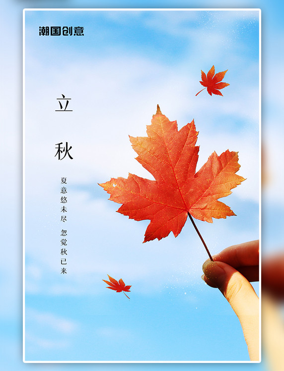 立秋节气树叶枫叶摄影图天空简约海报
