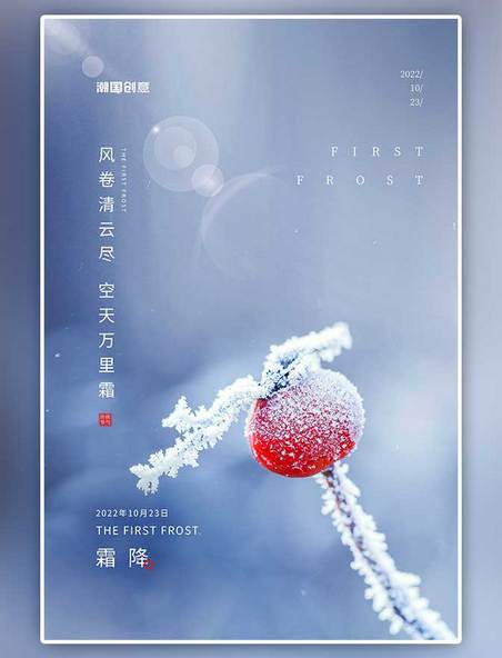 二十四节气霜降结霜红果子紫色摄影图节气海报