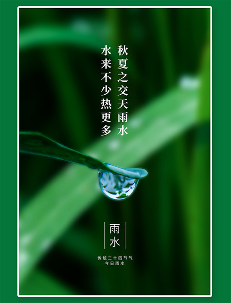 二十四节气雨水水滴绿色写实海报