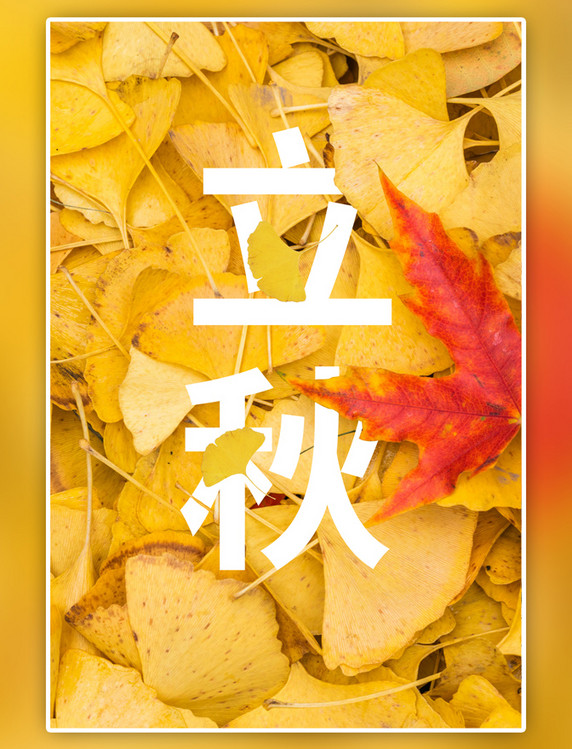 二十四节气节气海报立秋银杏叶枫叶黄色简约海报
