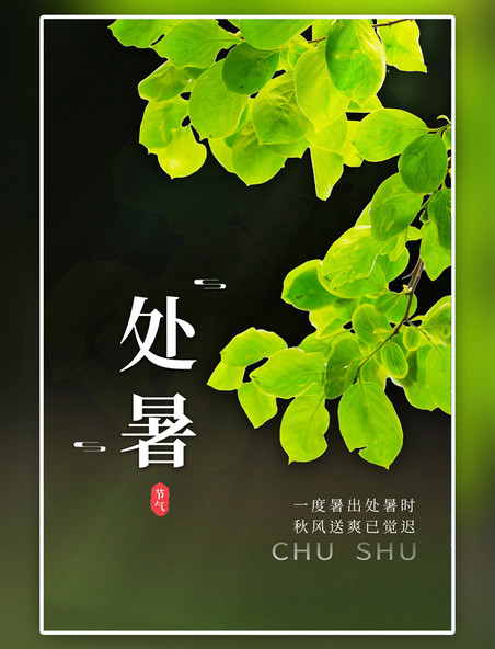 传统节气处暑节气叶子树枝绿色简约海报
