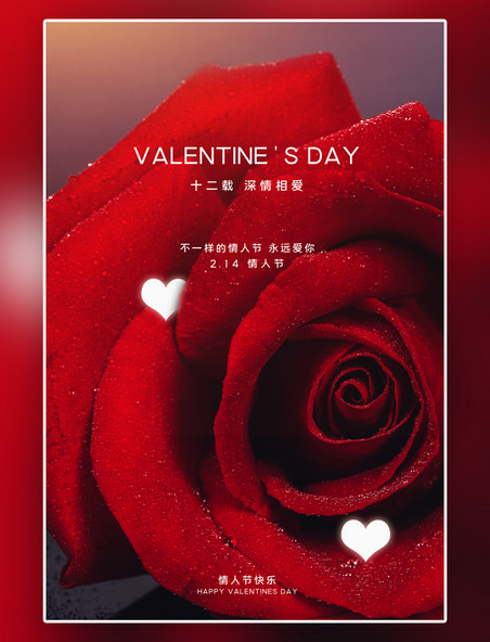 红色摄影图特殊的情人节玫瑰红色写实海报