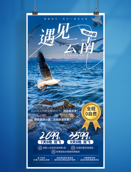 云南大理洱海旅游海报自由行旅行优惠暑假暑期夏季出游