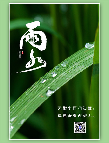雨水节气简约绿色海报