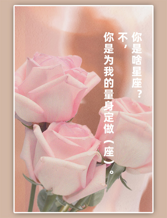 土味情话粉色鲜花写实海报