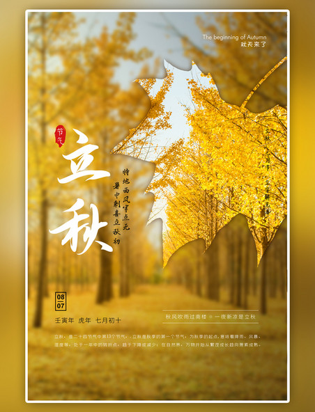 简约二十四节气之立秋秋天银杏摄影图黄色海报