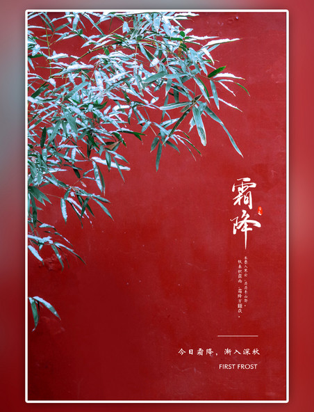 中国风二十四节气霜降红墙雪竹红色海报