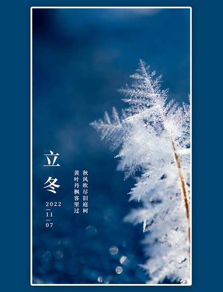 二十四节气立冬闪屏开屏页蓝色冰霜摄影图海报