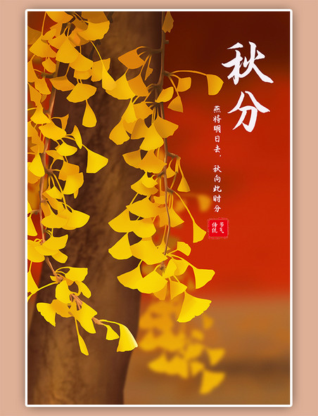 二十四节气秋分中国传统节气宣传海报