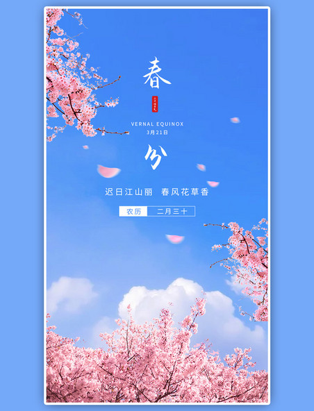 二十四节气春分蓝天樱花简约海报