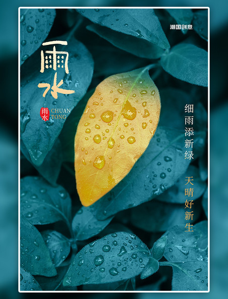 二十四节气雨水叶子蓝色创意海报