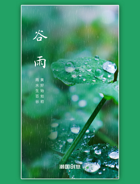 二十四节气谷雨app闪屏