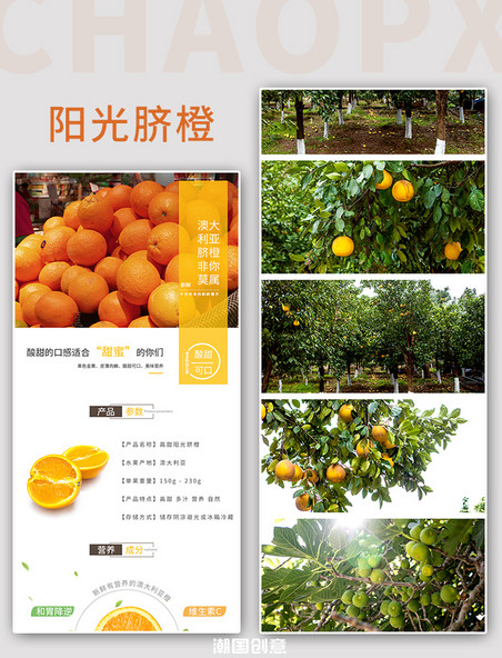 阳光脐橙水果电商详情页
