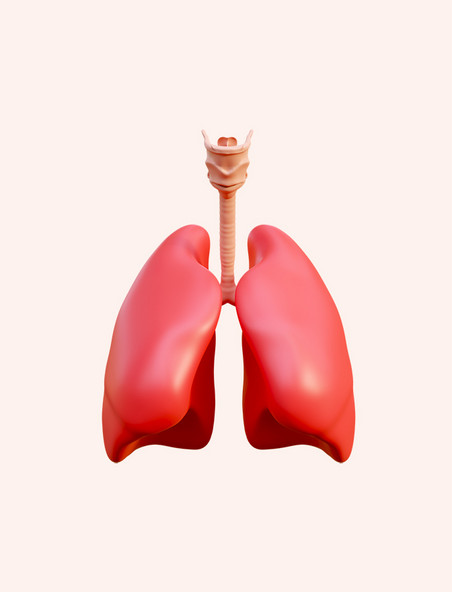 手绘卡通3D立体内脏器官肺部