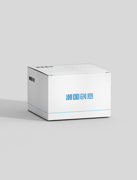 正方形盒白色简洁样机