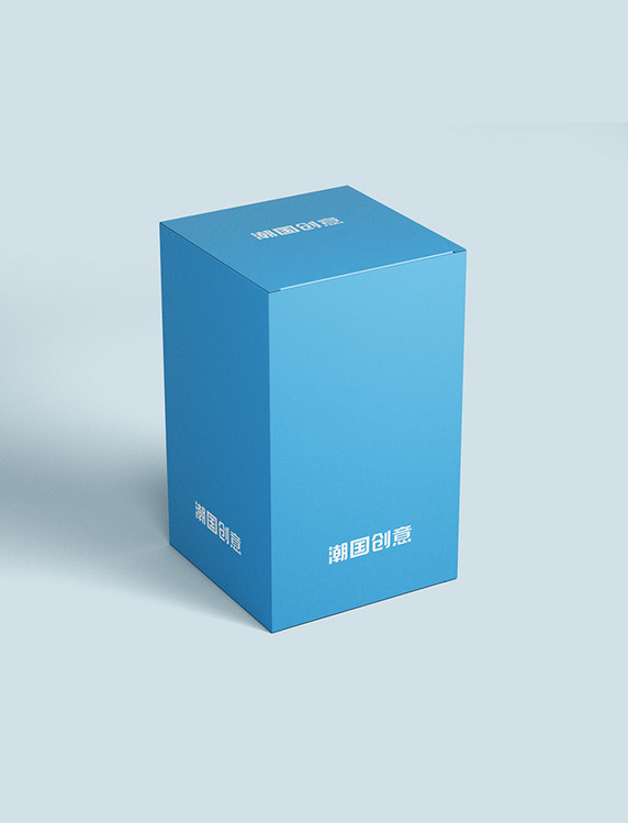简约包装盒蓝色长方形盒子样机