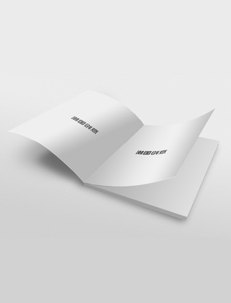 企业书籍翻开展示书本翻页模板宣传册白色简约样机